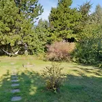 With Pool Terraces Near